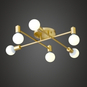  6  ()