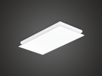 () LED ũ Ž 2 50W (ȭƮ)