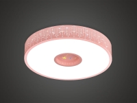 LED +  (ũ)