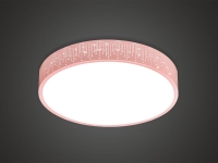 () LED +  (ũ)