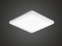 () LED   50W