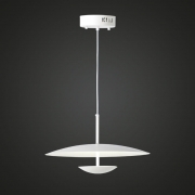 LED  1 P/D 20W