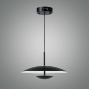 LED  1 P/D 20W
