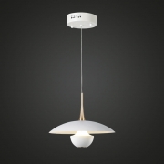 LED ж 1 P/D 10W