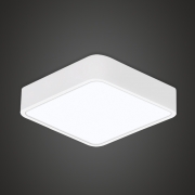 LED Ʈ  25W(ȭƮ)