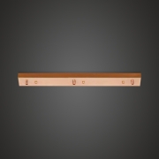 3ķġ / (ũ)